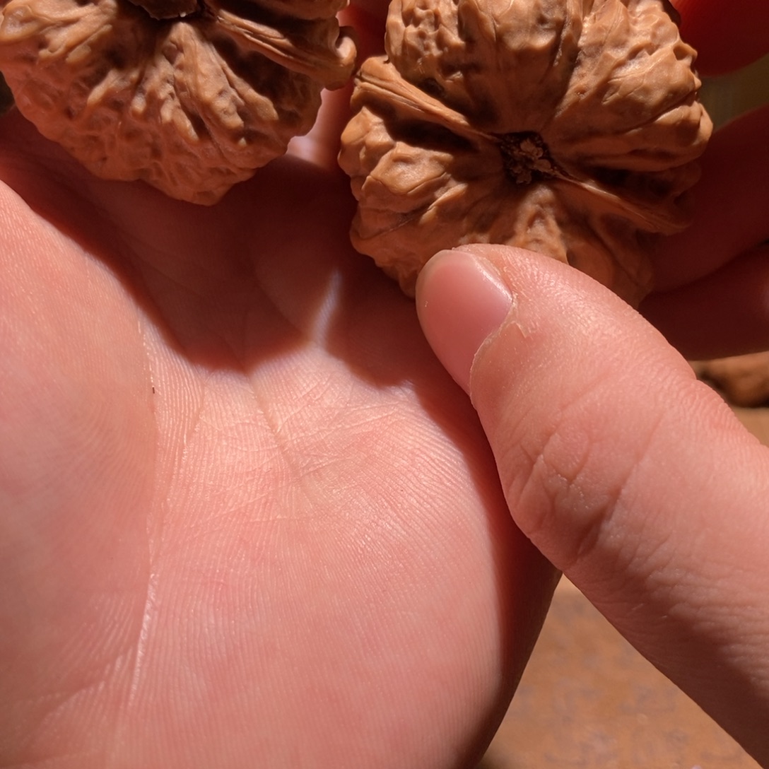 鼎***手吊坠文玩核桃蛤蟆头D11