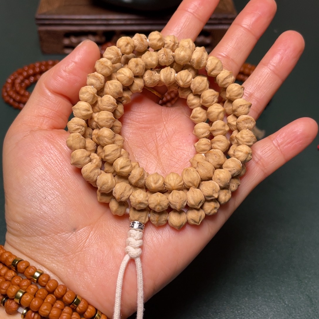 吊坠柏香籽/百香籽白芽横打