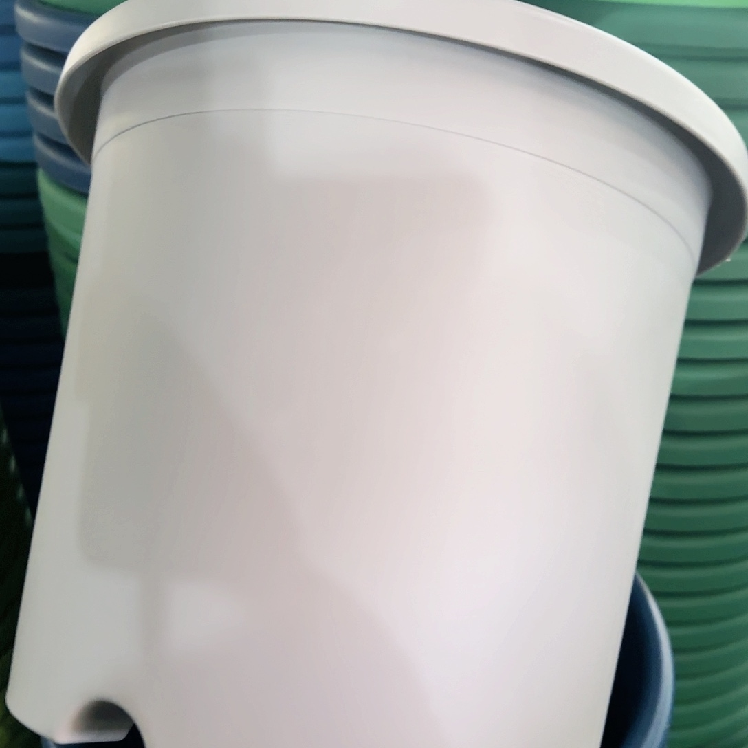 树脂灰白5#无拖6个