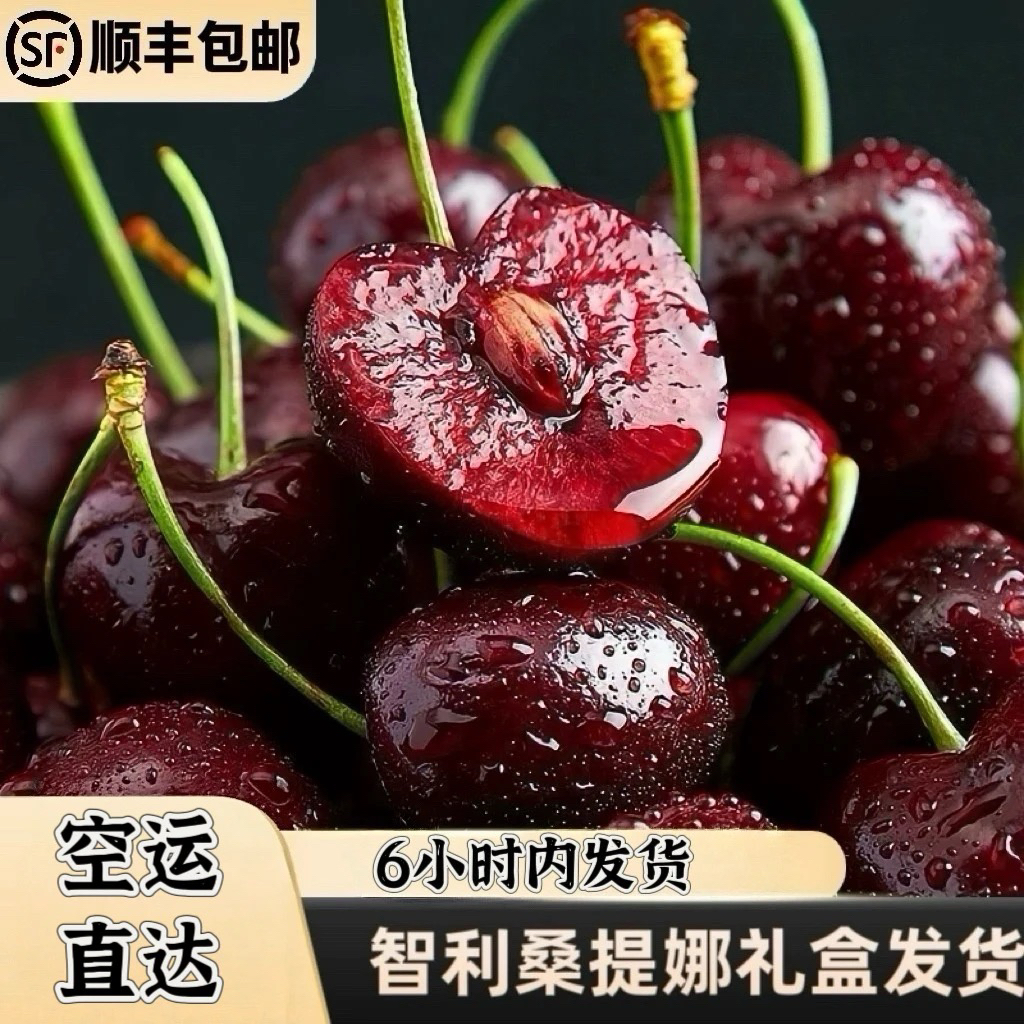 《空运直达》车厘子 桑提娜SNATINA车厘子智利空运直达2JD果 （到货及时拆封）内附果径卡g桑提娜樱桃智利共和国