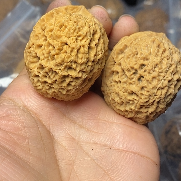 文玩核桃把件云南铁核桃78