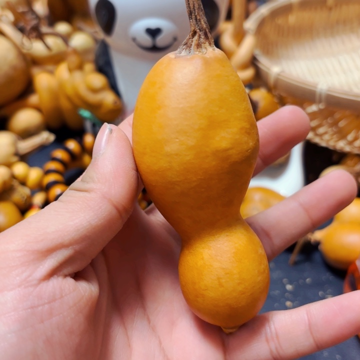 微*8888888888888888888