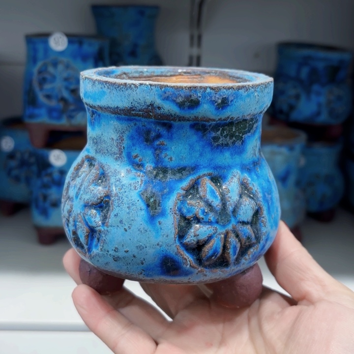 红陶内敛的人也会被人