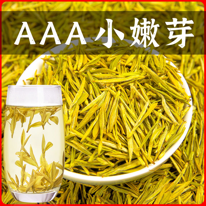 2025珍稀春茶特级黄金芽高山绿茶礼品黄金芽上等黄金芽茶叶鲜爽香