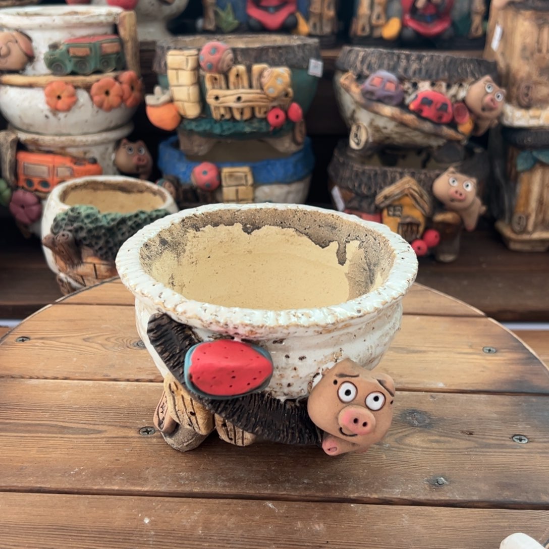 红陶嘻哈多肉花盆