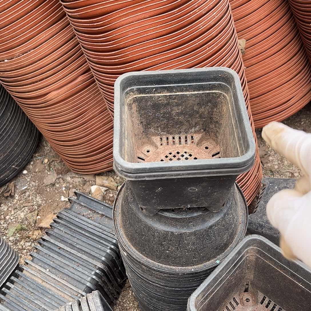 旧口径11.5 高 9 嘿方盆软40个