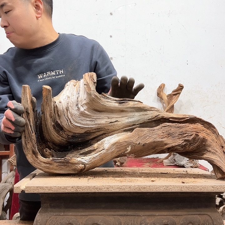 柏木本**活我们的生活是以自己为