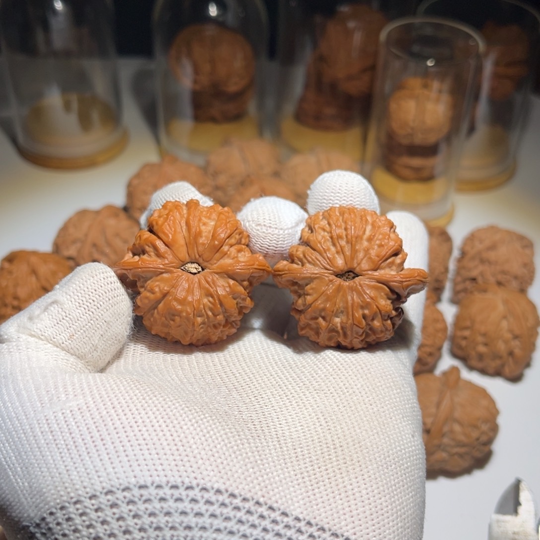 永***恒41.8全品平谷血麒麟