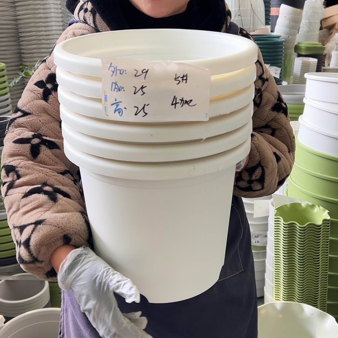 四季盆5#白色6个无托