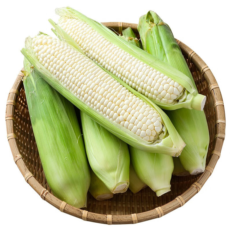 农家自种玉米棒子