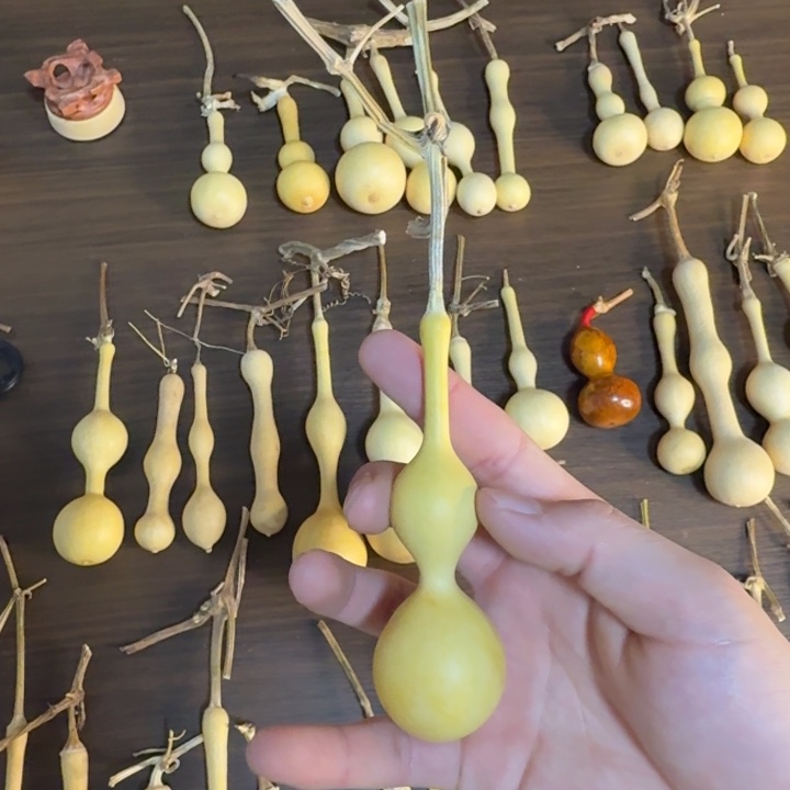 河***件精品八宝杆子周正