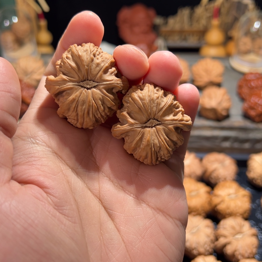 桉***全品卡姿兰白狮子闷白