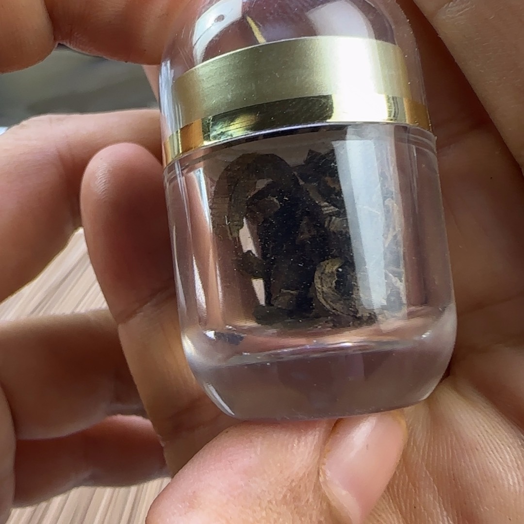 沉香碎屑沉香芽庄土沉蚂蚁腿圈圈1克