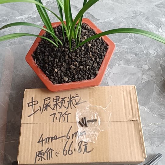 风***兰菌黑山土虫屎颗粒7.7斤