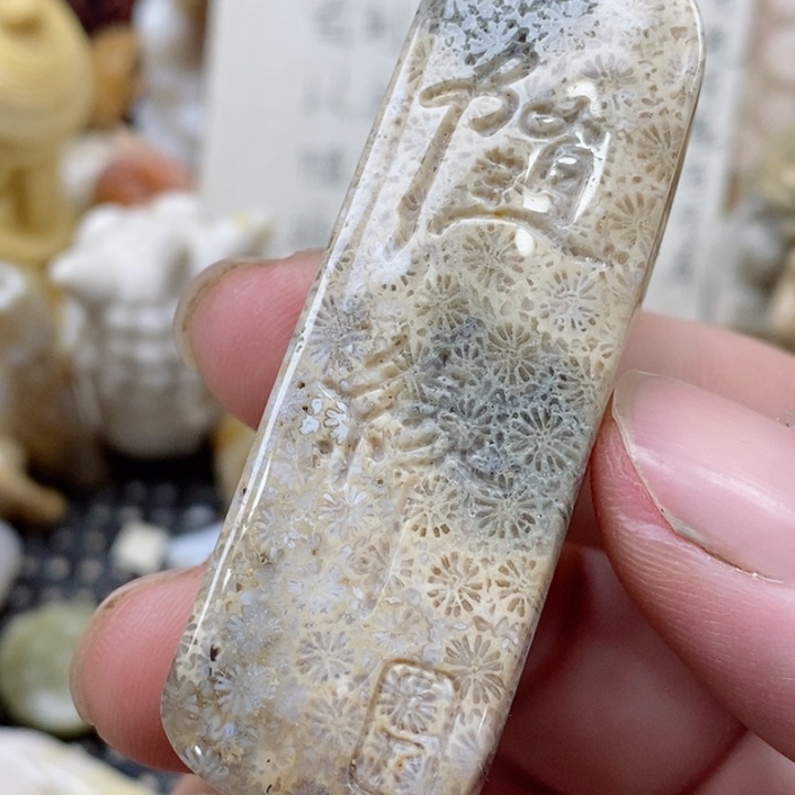 颈饰未镶嵌硅化珊瑚（珊瑚玉）有瑕