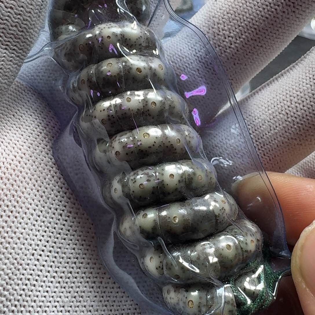 星月菩提手串星月菩提9mm石玉料大肠