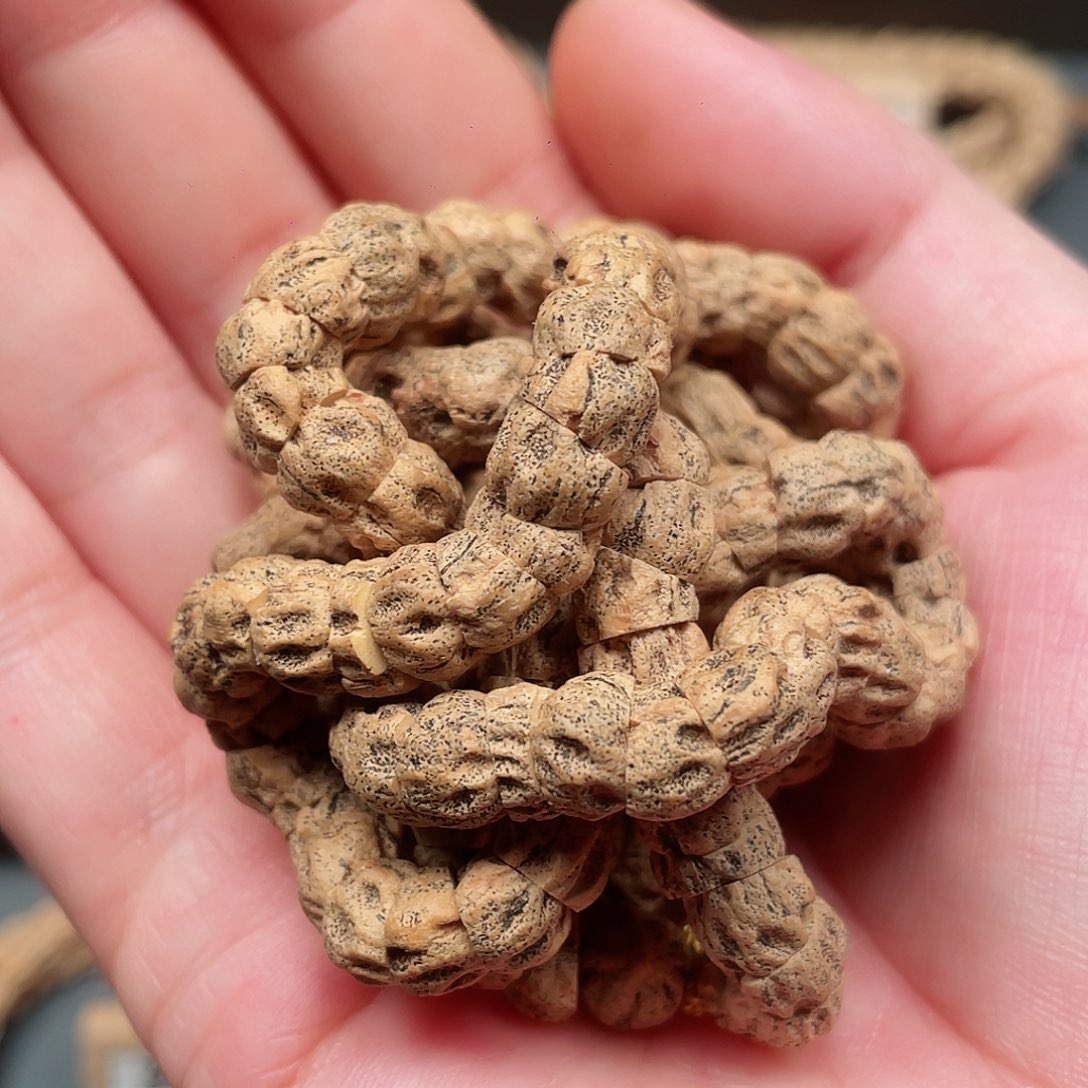 吊坠柏香籽/百香籽大尺寸老树满鬼大肠