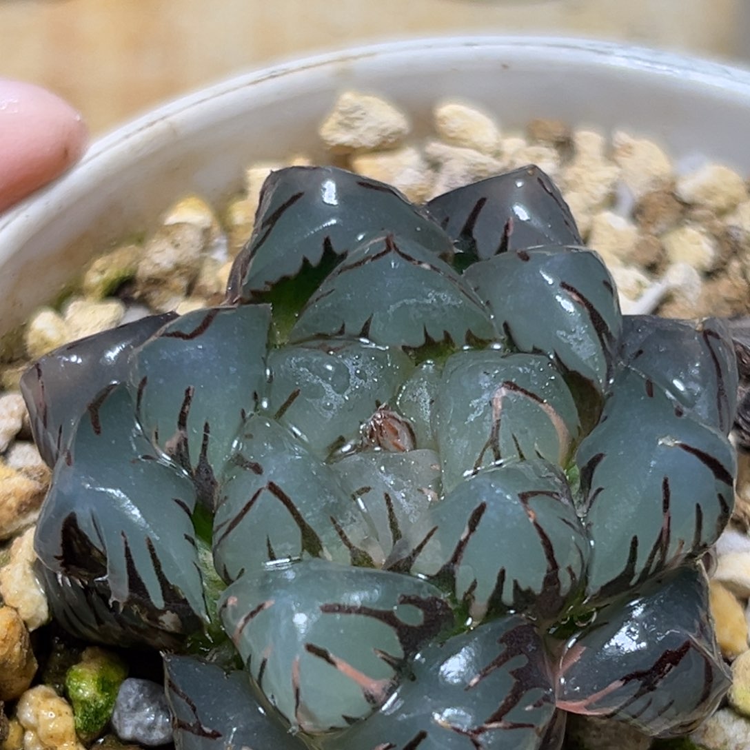 恭喜发财大吉大利725