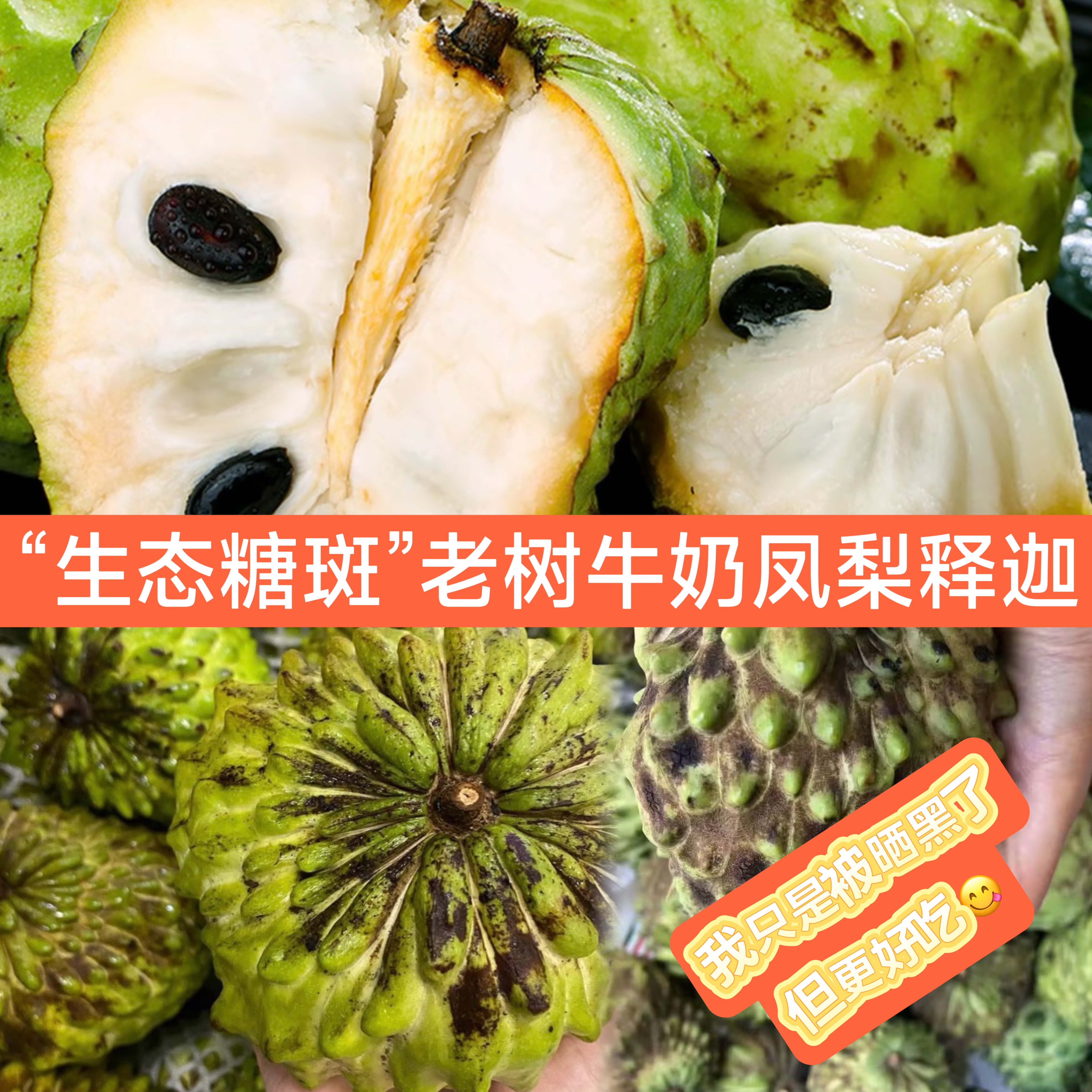 云南高原老树糖斑花皮牛奶凤梨释果迦应季水果纯甜奶香果香水果