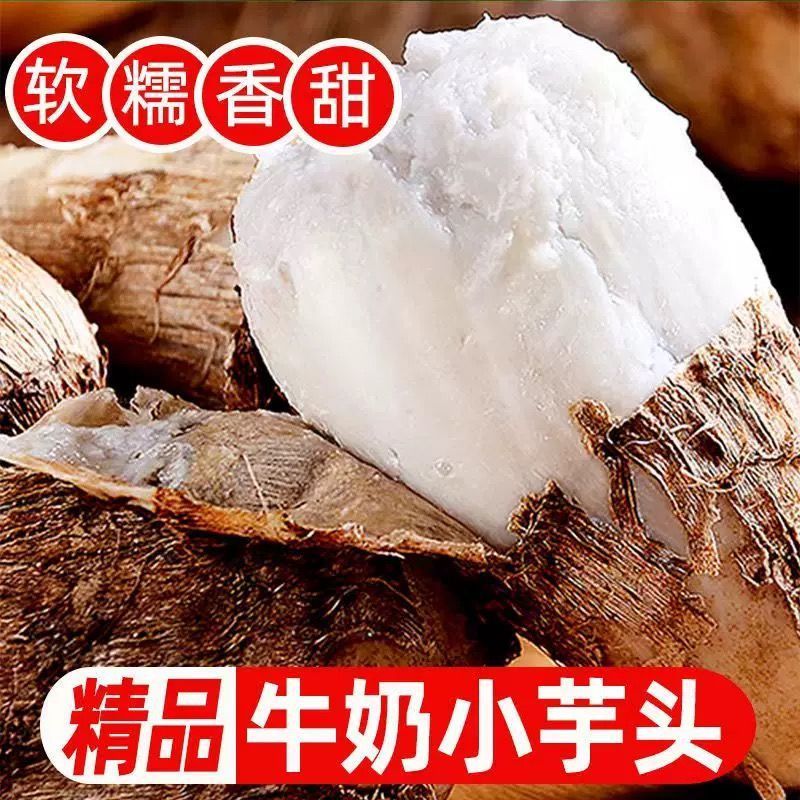 （新鲜现挖）河南新鲜奶油芋头奶香芋头软糯香甜净重1斤/3斤/5斤
