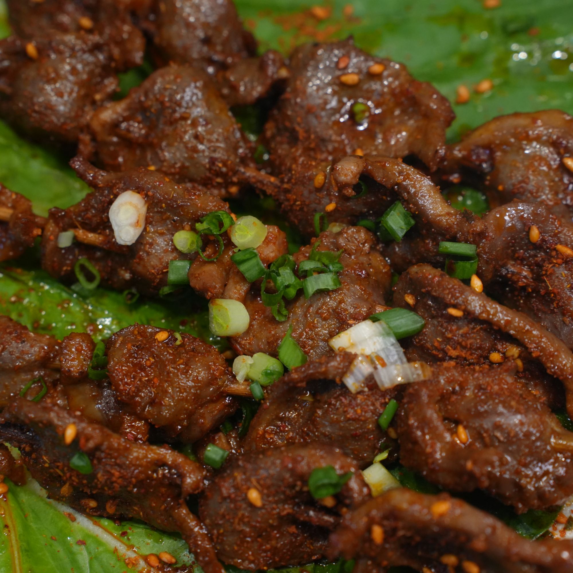 川味麻辣郡肝片烧烤露营家烤商烤都可