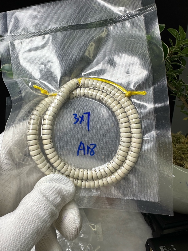 非金属树脂手链 A18药片原白长串