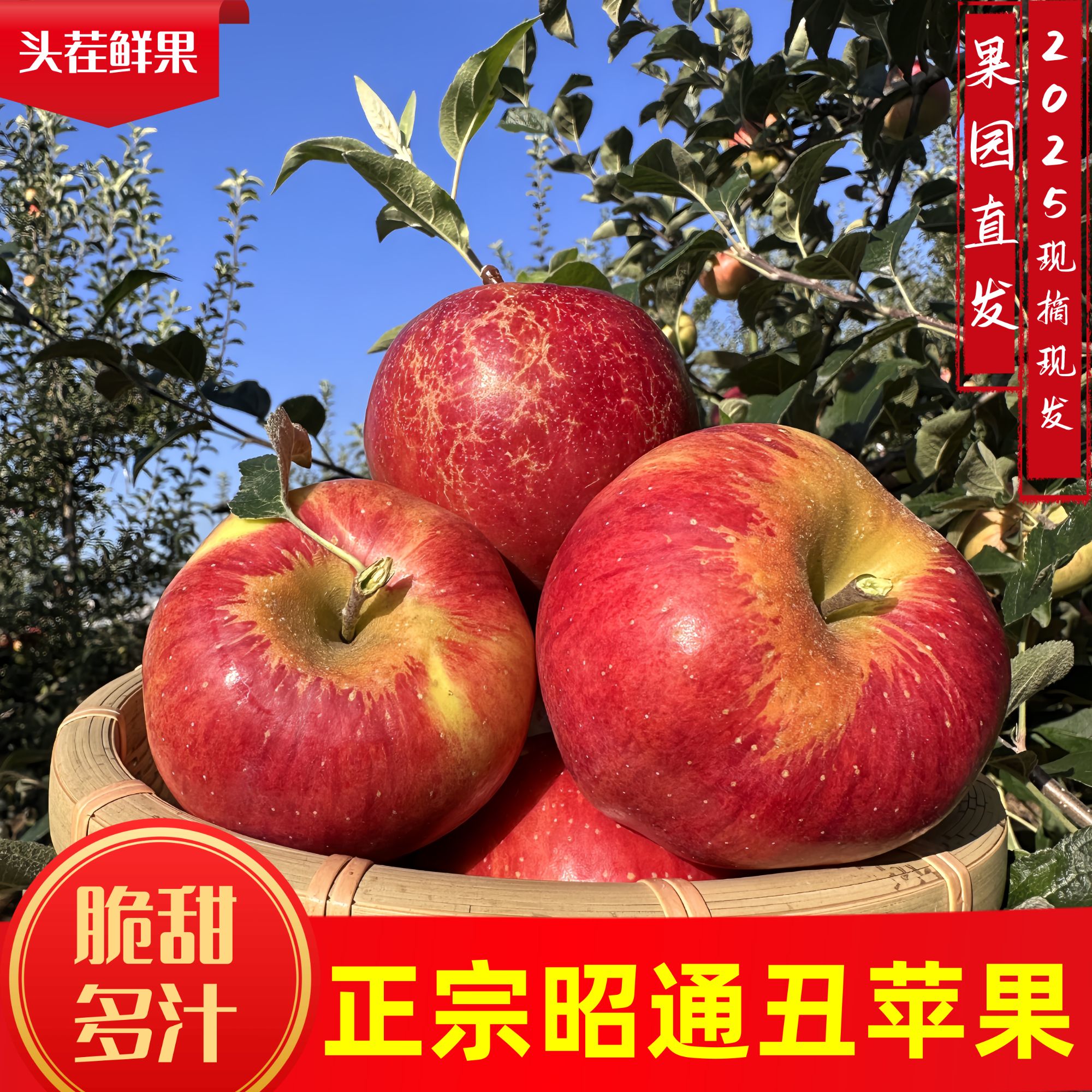 云南昭通丑苹果早熟红富士（2001）新鲜现摘脆甜多汁冰糖心水果