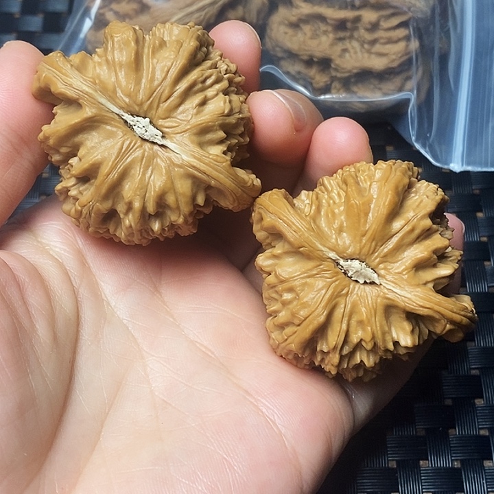 皮***噜文玩核桃吊坠白狮子