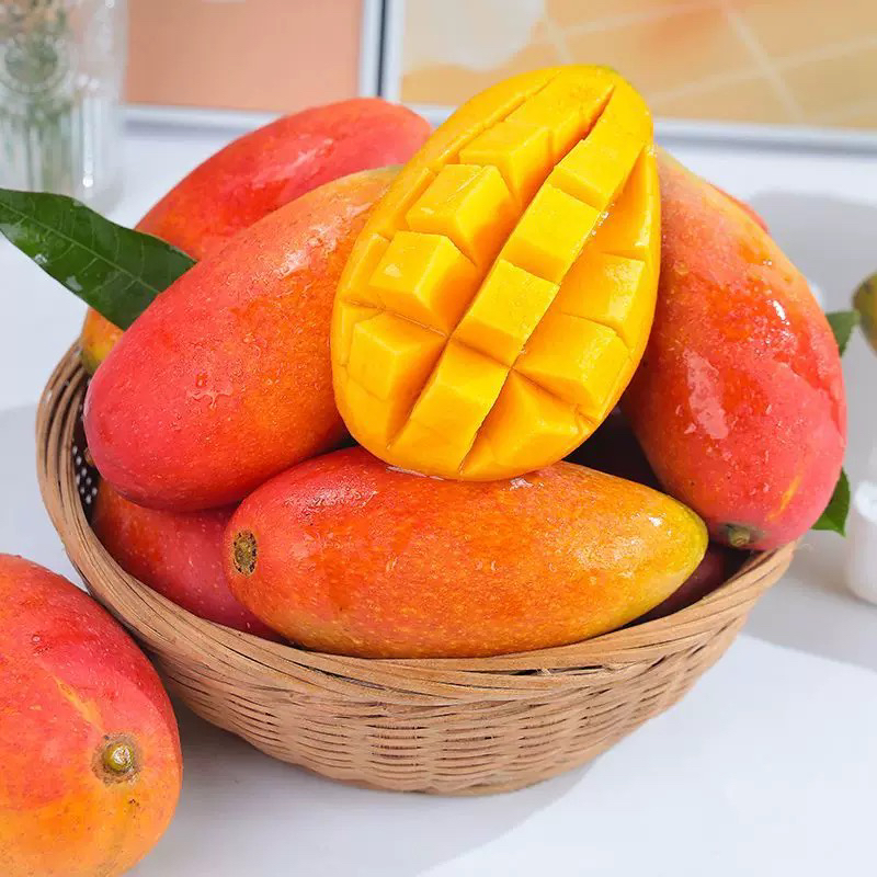 云南高原种植贵妃芒现摘现发