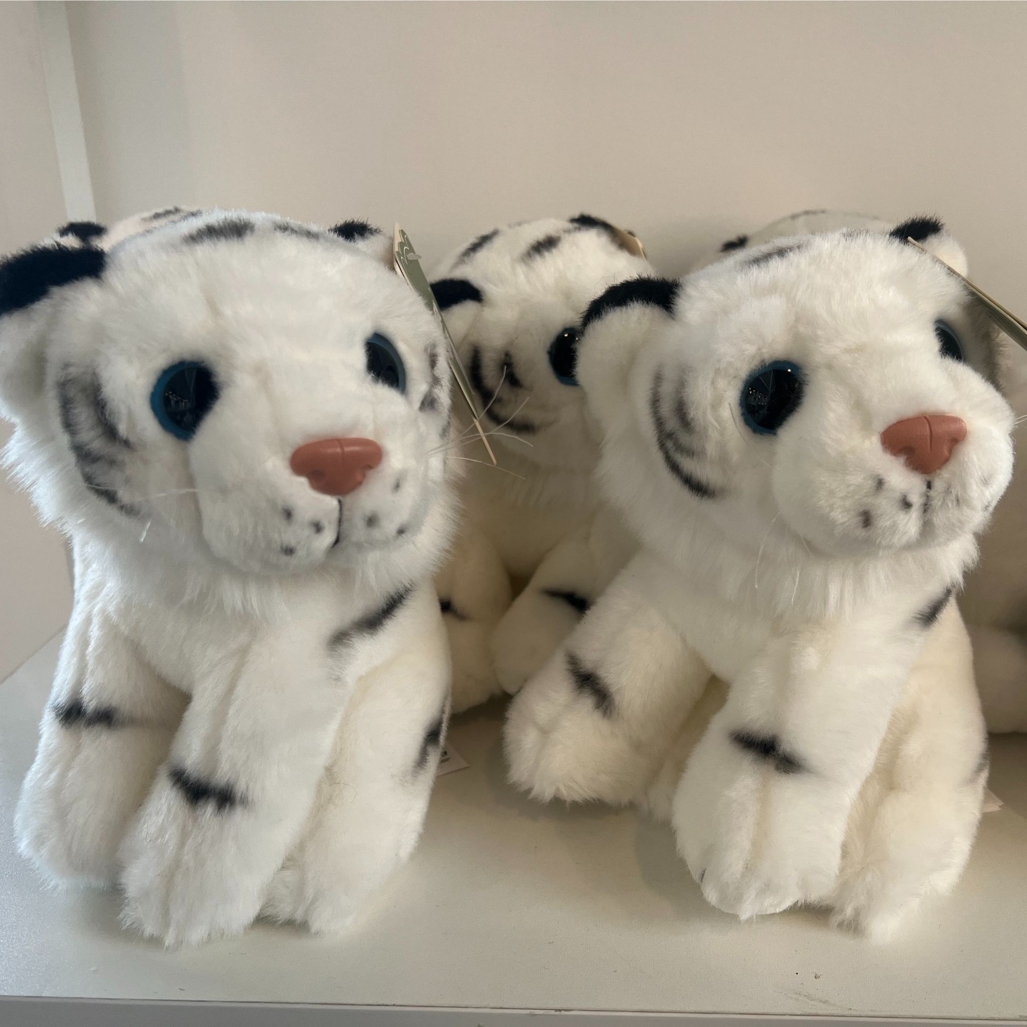 坐姿可爱大白虎呆萌老虎宝宝玩偶毛绒玩具宠物可爱玩具儿童节