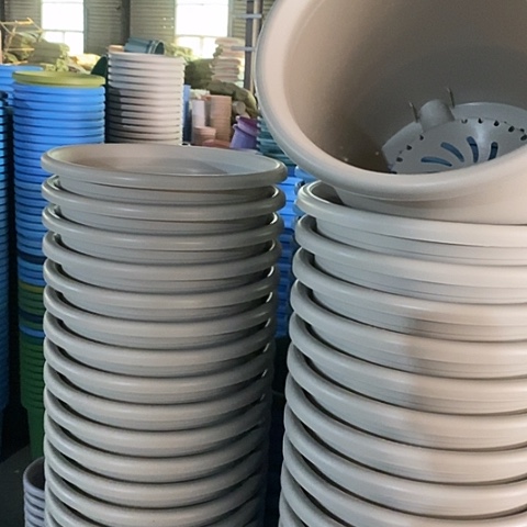 树脂四季6号微瑕灰白无托7个