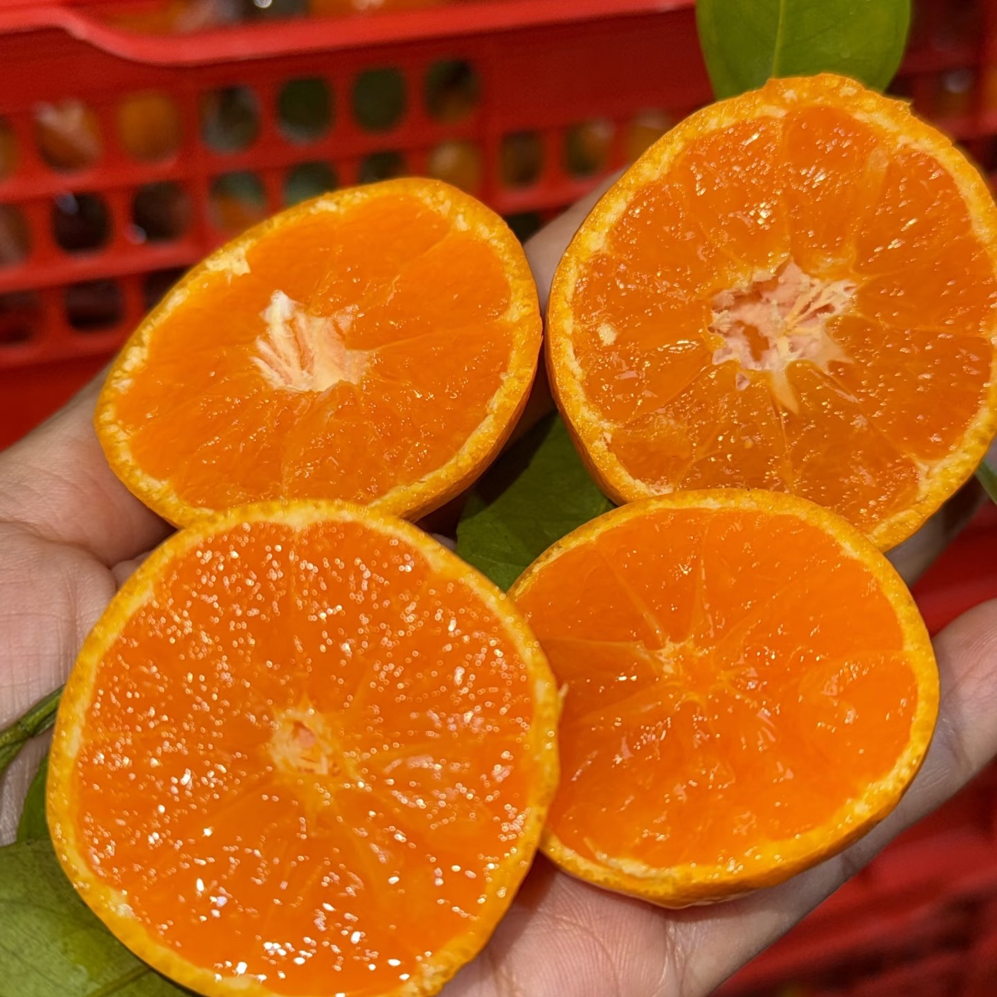 冰糖小叶橘一筐好吃