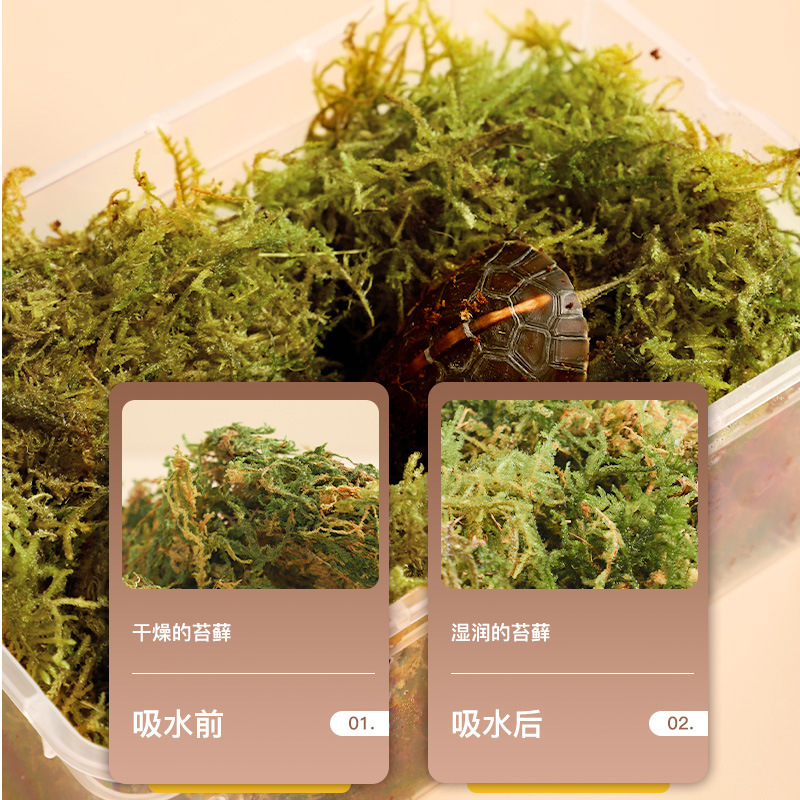保温箱冬眠盒子垫材小乌龟运输恒温椰砖椰土苔藓过冬爬宠饲养箱