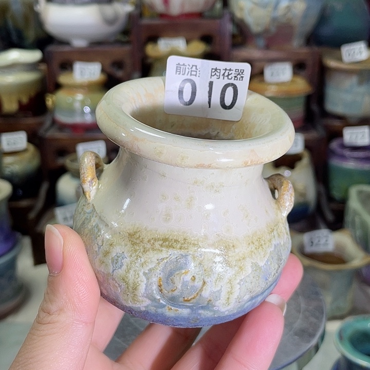 狼盆内口径5高度7