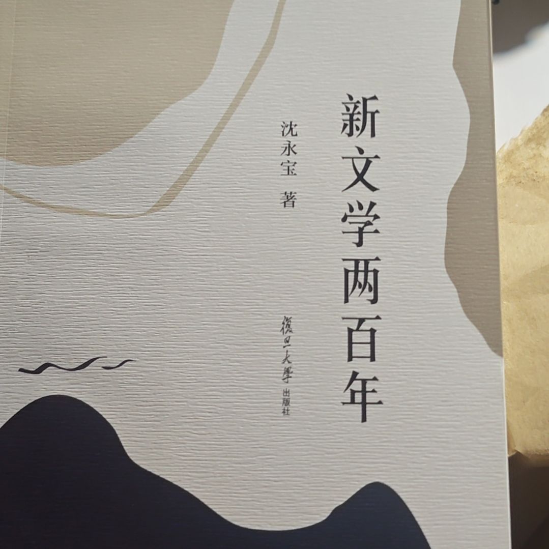 新文学两百年平装库存书