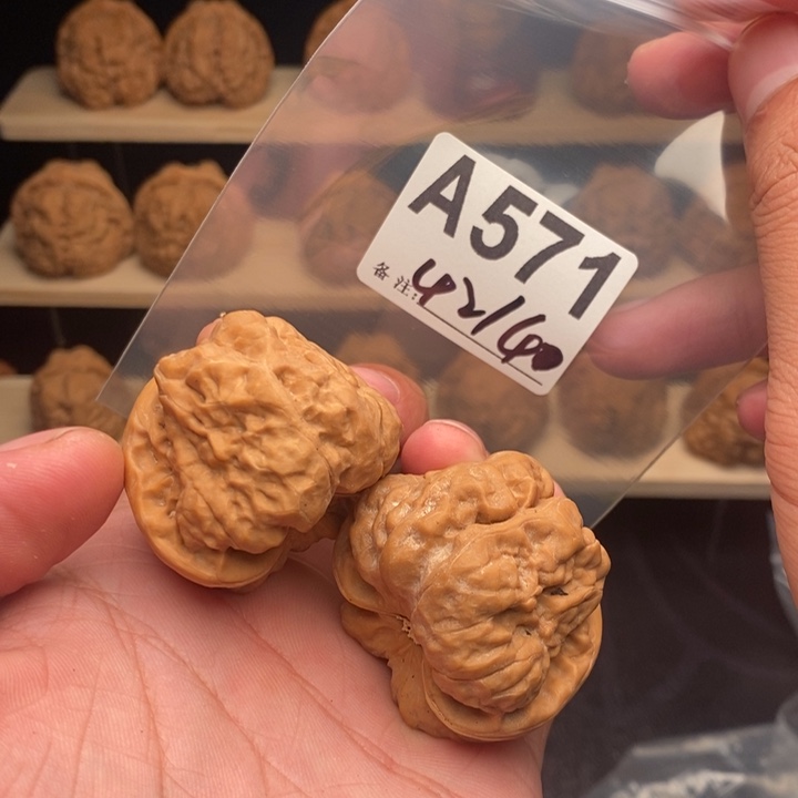 核桃A571蛤蟆头42尺