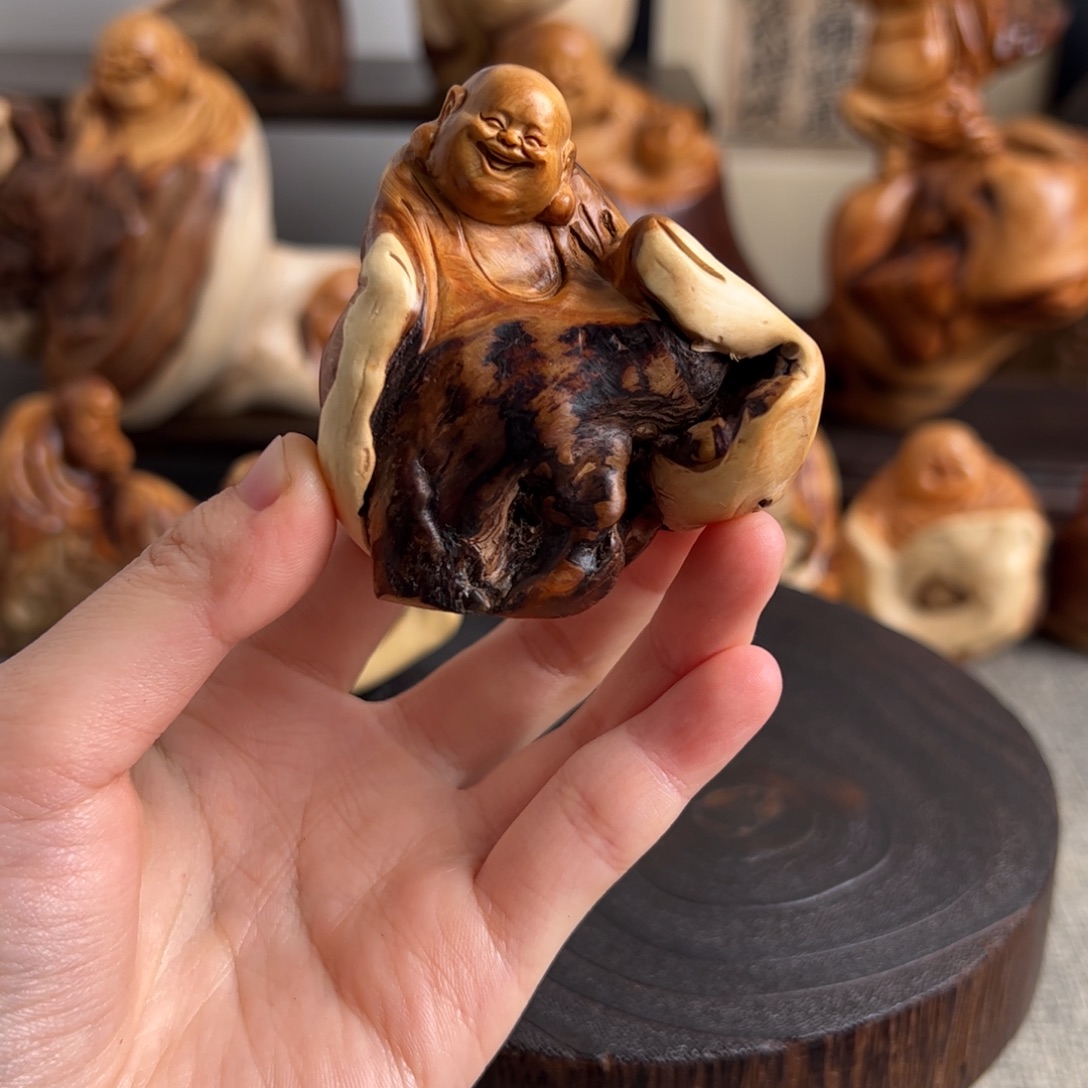 柏木（崖柏）关注一下