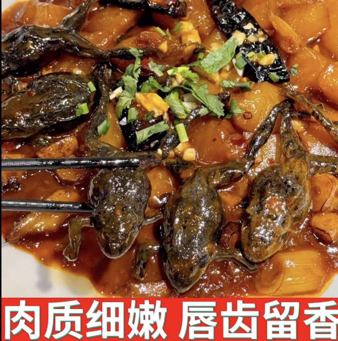 鲜活满籽满油石蛤蟆东北河鲜顺丰包邮