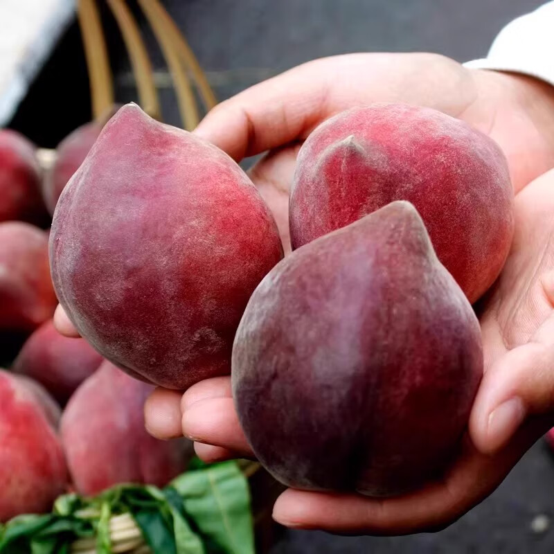 新鲜采摘甜美多汁水蜜桃好吃实惠 鸡肉条