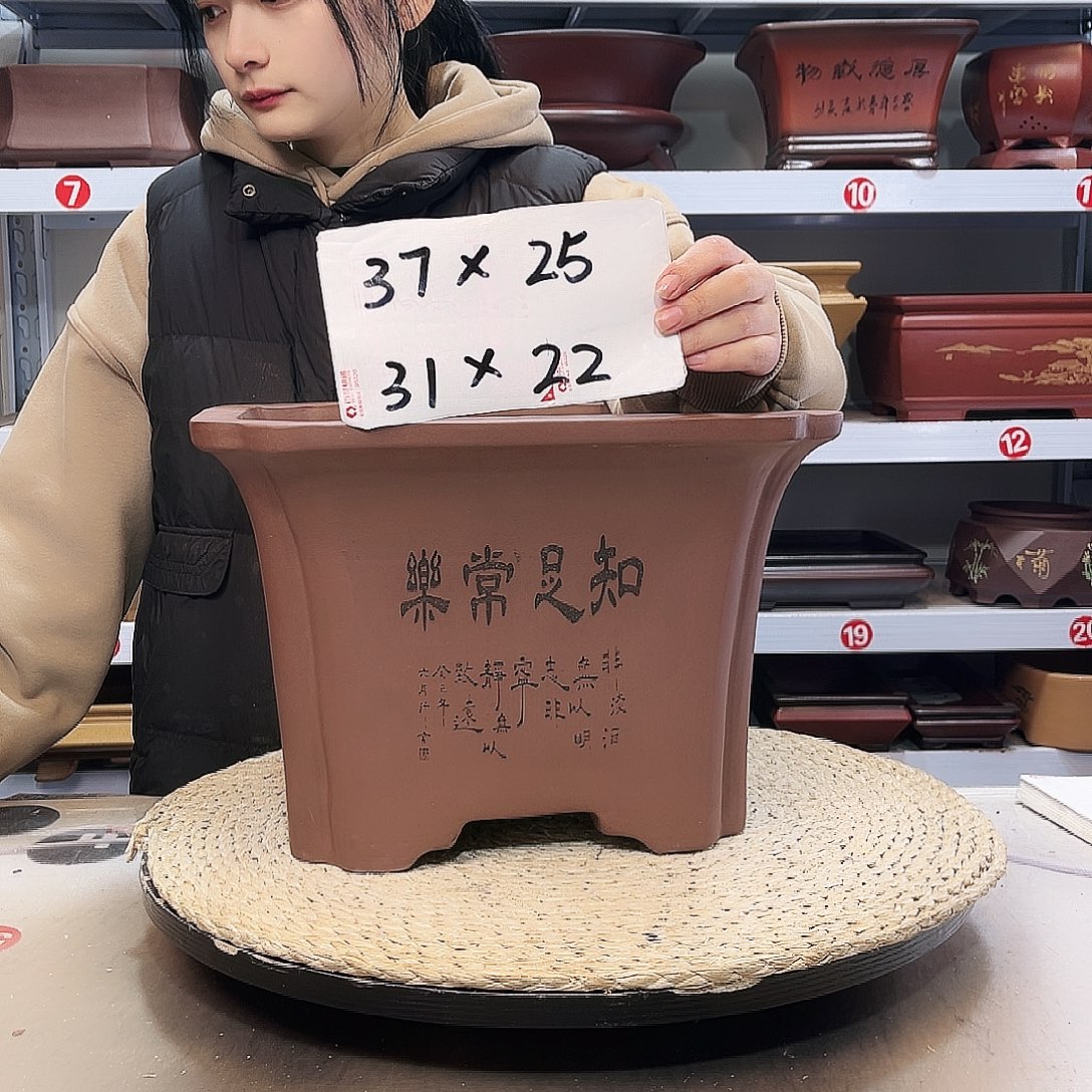 花盆紫砂紫砂花盆