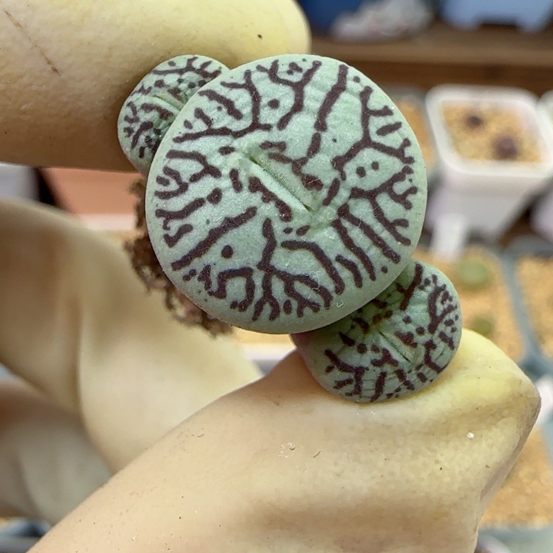 293福利福利福利