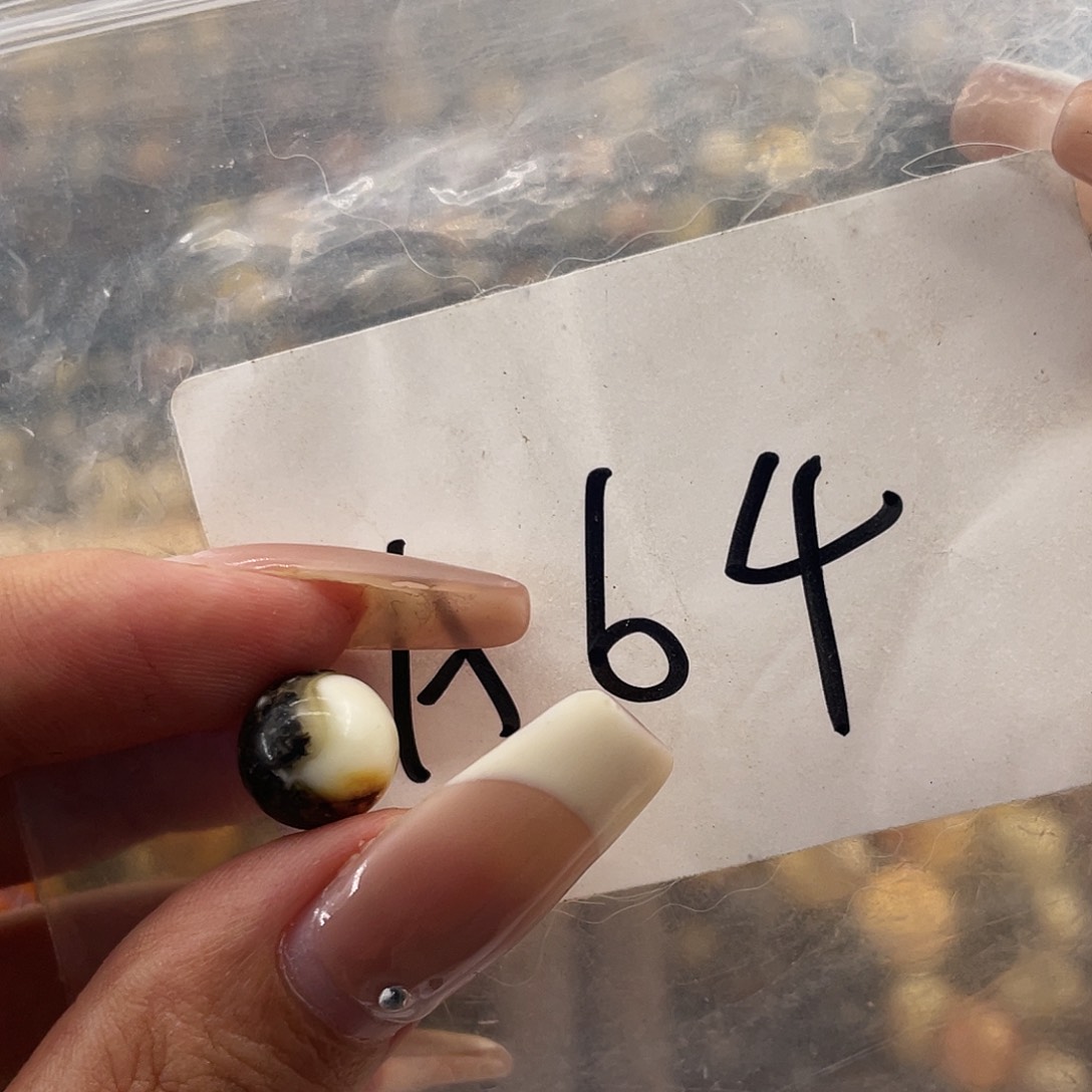 琥珀未镶嵌裸石9.9福利