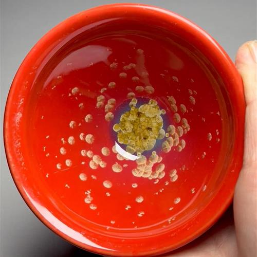 【闪购商品】茶盏-287............