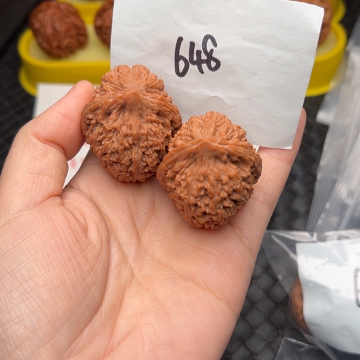 核桃36尺寸大蒜头