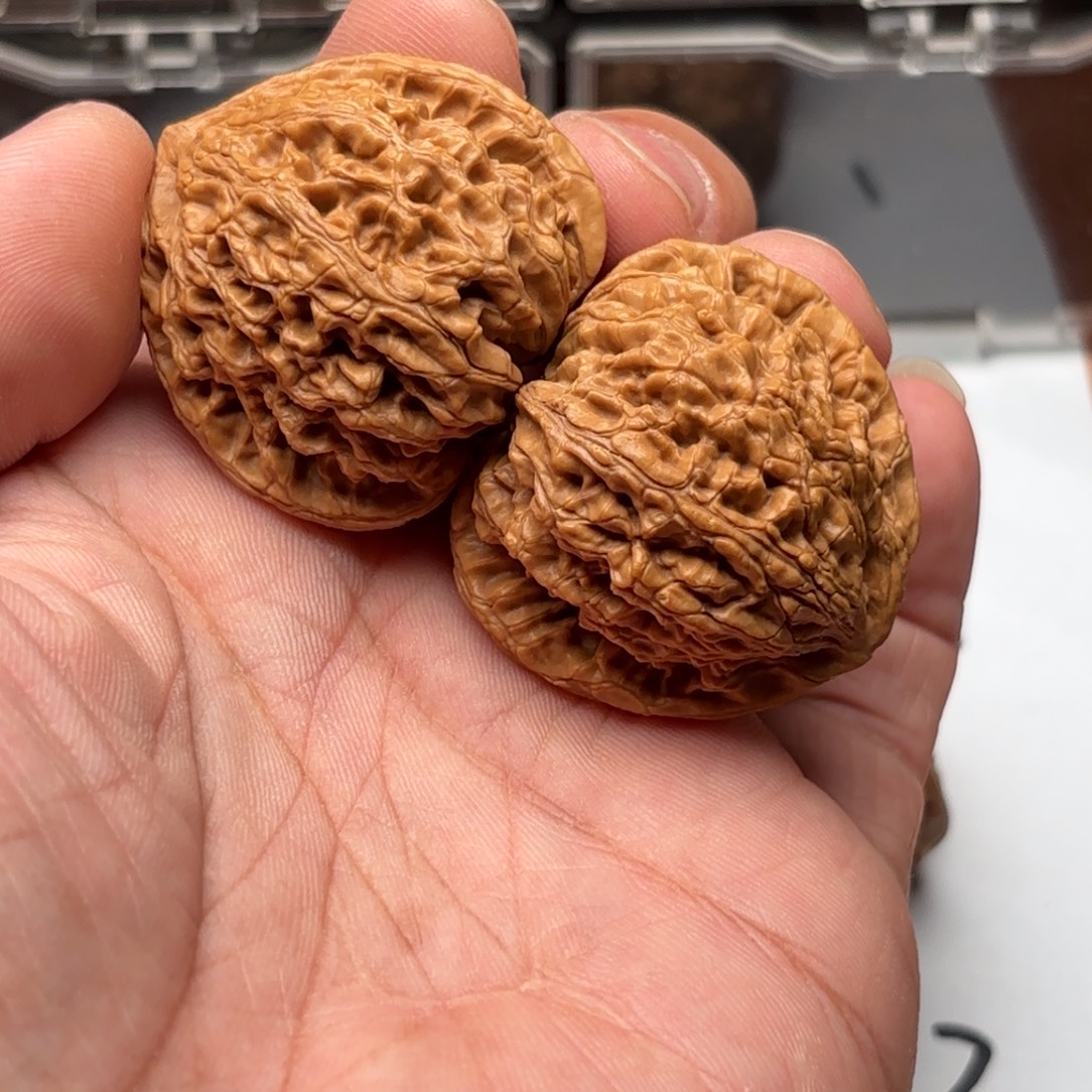 文玩核桃把件混沌珠