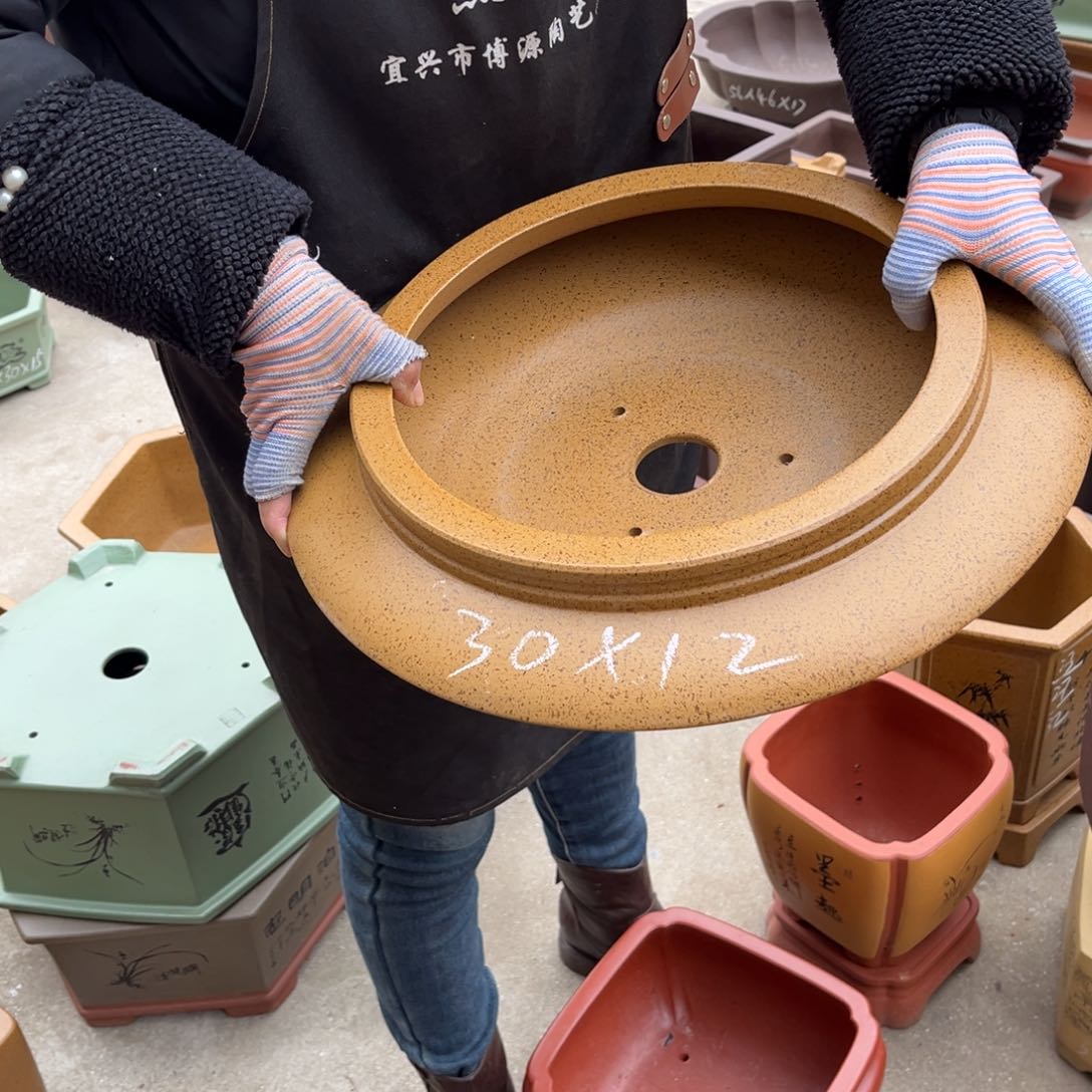 紫砂花盆盆景艺术