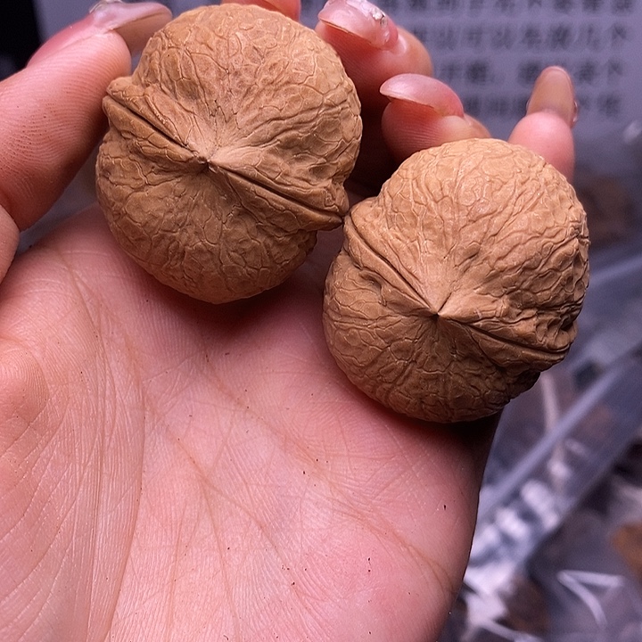 核桃云南野生铁核桃33号37mm
