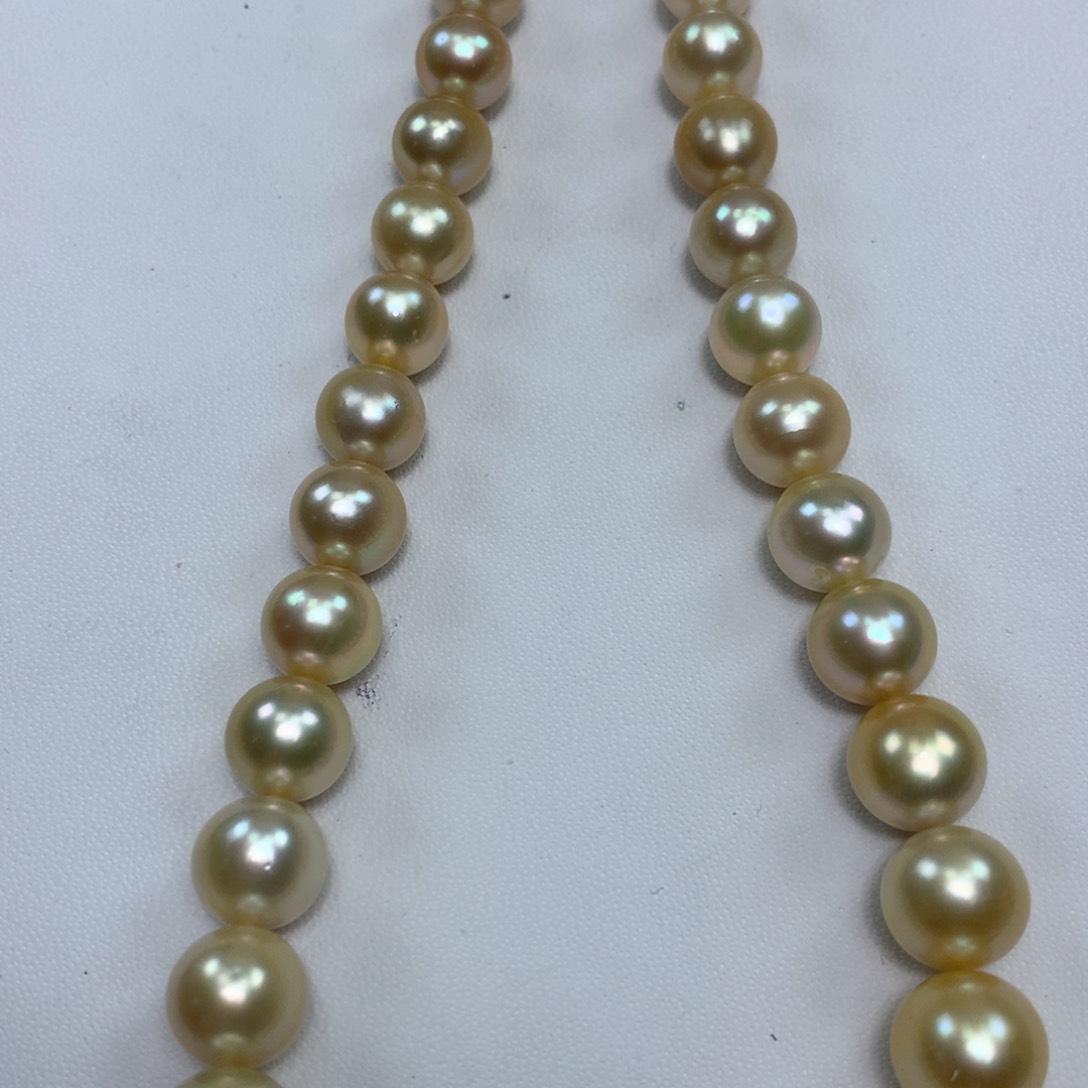 海水珍珠项链未镶嵌