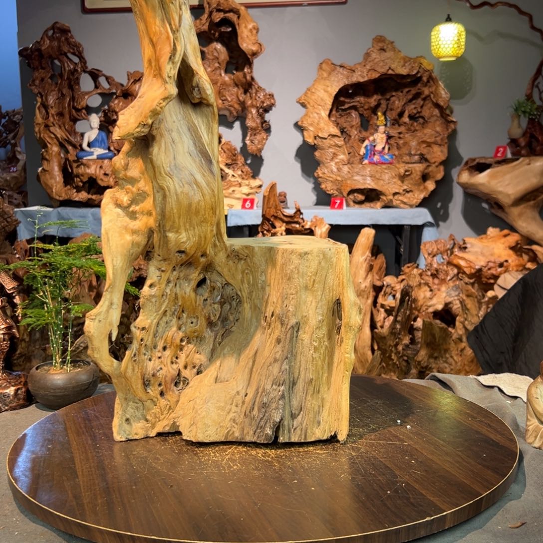 L***范香杉木884aaaaaaaaa