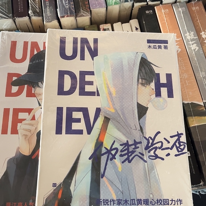 伪装学渣全新全套两本带周边未删减